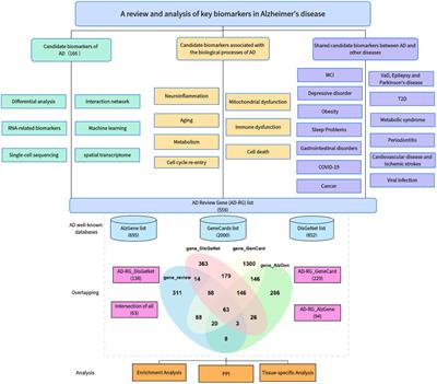 A review and analysis of key biomarkers in Alzheimer’s disease